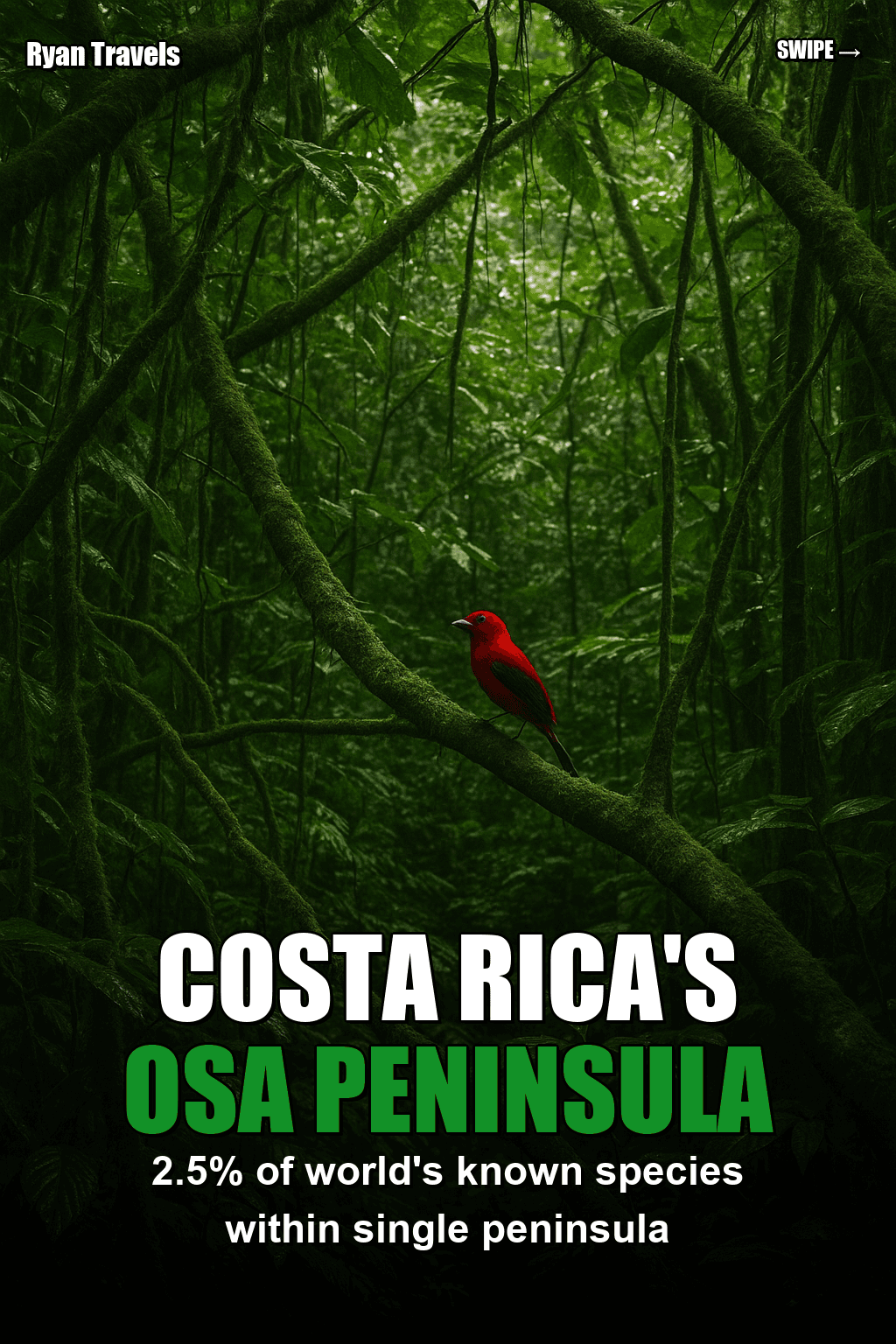 Example carousel slide 6